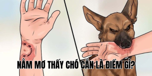 Nằm Mơ Thấy Chó Cắn Là Điềm Gì