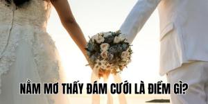 Nằm Mơ Thấy Đám Cưới Là Điềm Gì